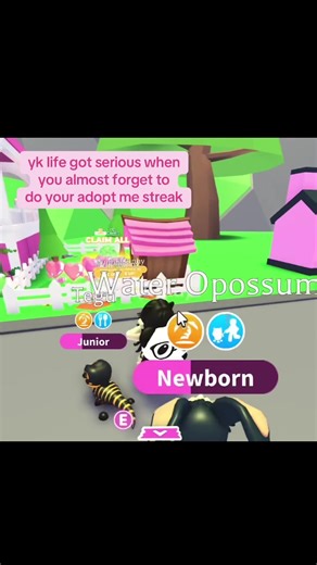 Don't Forget Your Adopt Me Streak: New Egg Update!