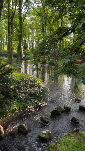 Beautiful Nature Videos for Relaxation