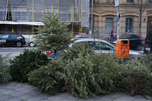 Christmas has come and gone. How to get rid of your real tree.