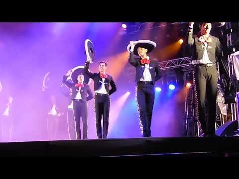 Ballet Folklórico de México de Amalia Hernández "SON DE LA NEGRA HD 1"