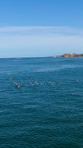 The weather and conditions have been excellent here in Guiones lately. Here are some scenes from this past week. #playaguiones #nosara #guanacaste #costarica #guiones #surftrip #surfschool | Safari Surf School