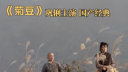 一口气看完国产经典电影《菊豆》