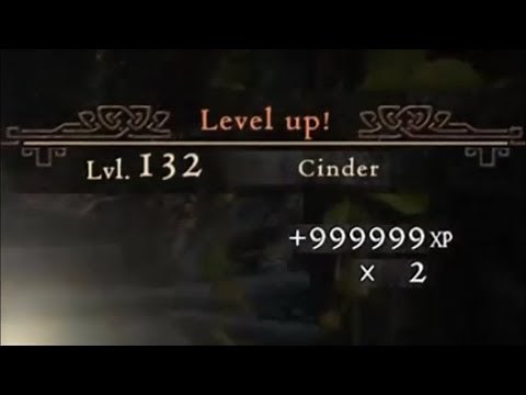 Dragon's Dogma: Dark Arisen - XP Farming Method (Strider/Assassin)