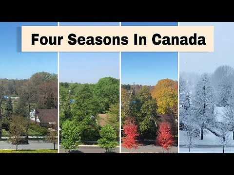 FOUR SEASONS IN CANADA 🌷☀️🍁❄️