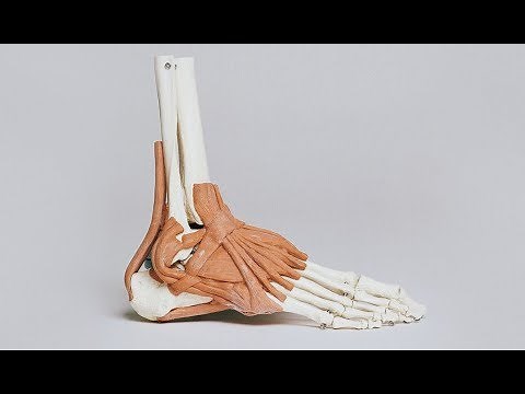 How to Perform a Stress View of the Ankle