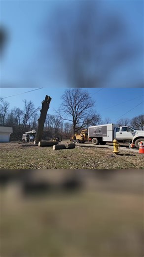 VeteranTreeServiceLLC (@veterantreeservicellc)’s videos with original sound - 𝐅𝐚𝐜𝐞𝐥𝐞𝐬𝐬𝐀𝐫𝐜𝐡𝐢𝐯𝐞