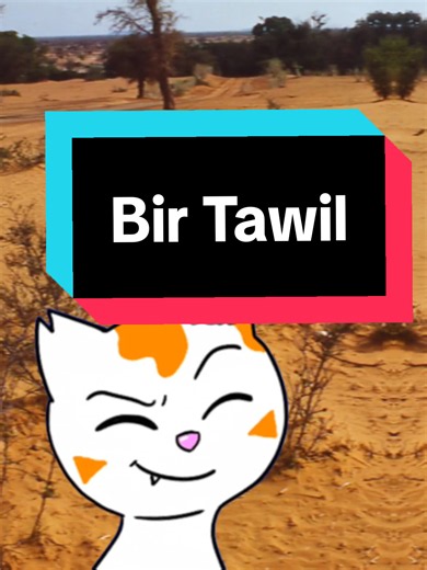 Niemandsland: Das Stück Erde, das niemand haben will! 🌍🚫 Hast du dich jemals gefragt, ob es auf unserer Welt noch Orte gibt, die absolut niemandem gehören? Willkommen bei Bir Tawil, einem rund 2.000 Quadratkilometer großen Territorium in der Wüste zwischen Ägypten und dem Sudan. Eigentlich gehört jeder Fleck Erde auf diesem Planeten einem Staat – doch hier sieht das anders aus. Der Grund dafür ist eine kuriose, strategische Falle: Ägypten und der Sudan streiten sich um ein wertvolles Küstengeb