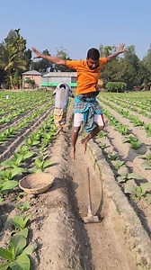 What happened to digging the soil? | Village Fun Entertainment