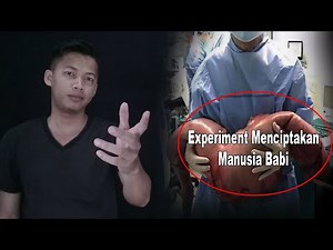 Experiment ini lebih Extrim dari Homunculus - Menciptakan Manusia Babi Human -Pig Hibrid