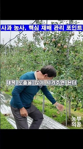 The Apple Farmer's Secret: How to Properly Grow Apple Trees and Manage Tree Vigor