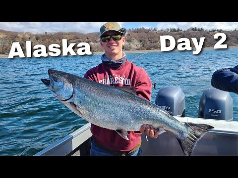 Catching Big King Salmon And Giant Halibut While Fishing In Alaska