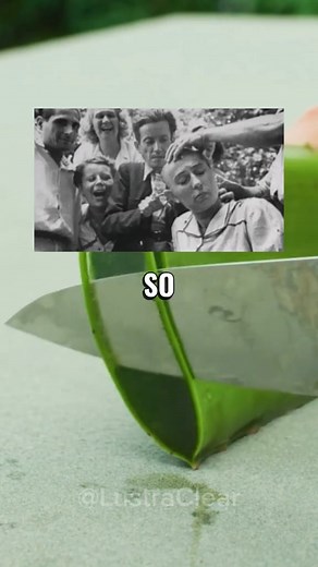 45K views · 543 reactions | History Facts You Didn’t Know..﫡 #satisfying #randomfacts | Mind blowing | Facebook