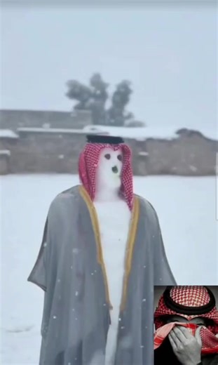 فيديوهات أنشأها ابوشــ𓄂𓆃ــيبه (@amd__1h) باستخدام الصوت الأصلي - ابوشــ𓄂𓆃ــيبه