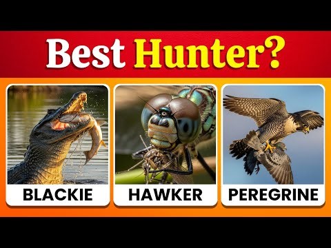 🐾 Guess the predators with the highest success rate!🐾