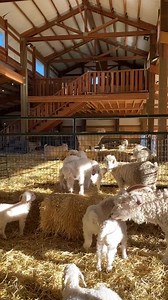 Chris Pratt on Reels