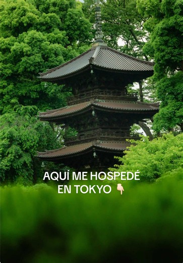 Qué hacer en Tokio: guía rápida de 3 días y dónde alojarte