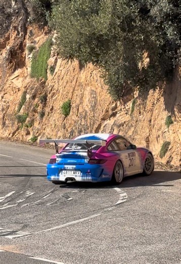 Problema amb l'embrague del Porsche al rally
