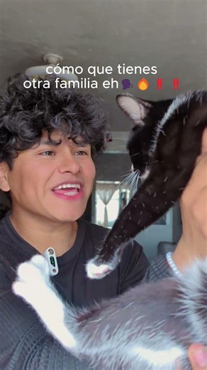 Things you can say to your dad 🧔🏽 and your cat 😺 #ytshorts #humor