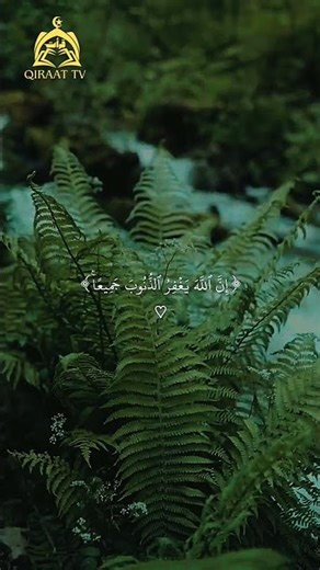 Beyond Your Regrets: The Most Hopeful Verse in the Quran Surah Az-Zumar 53 #qiraattv #shorts #viral