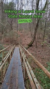 Laurel Snow State Natural Area in Dayton, Tennessee #outdooradventuresintennessee #simplelifebigadventures #Tennessee #ExploreTennessee #tennesseestateparks #tnstateparks #tennesseewaterfalls #DiscoverTennessee #waterfall #waterfalls #hike #hiking Simple Life, Big Adventures | Outdoor Adventures in Tennessee