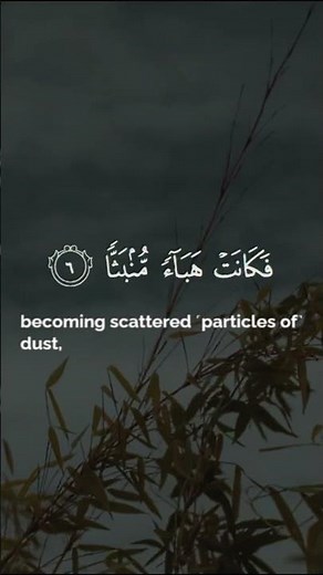 Surah Al-Waqi'ah | "The Inevitable" | Mishary bin Rashid Alafasy