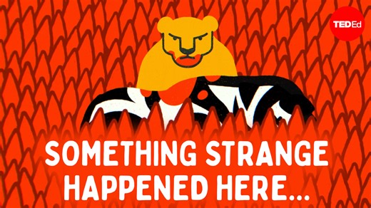 In the early 2000s, one of the world’s most widespread invasive species landed in Kenya. Their presence wreaked havoc on the ecosystem and significantly changed the landscape. So, what were these creatures? And how did they have such a huge impact? | TED-Ed