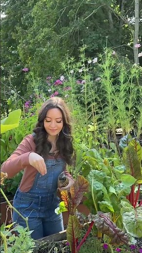 Don’t try companion planting without understanding this #companionplanting #gardeningideas