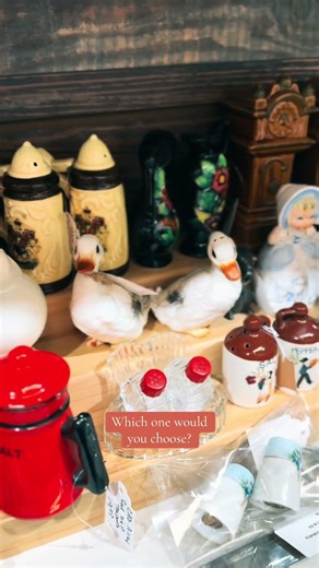 Check out this amazing collection of salt and pepper shakers I found! Which is your favorite?