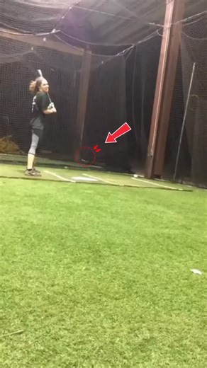 m24_ghsot.1 on Instagram: "The post shares a 15-second video of zookeepers draining a reticulated python's pool in its enclosure, only for the 15-foot snake to thrash suddenly and splash them, captioned with humour to highlight the mishap. Released today on 19 December 2025, it has quickly gained over 2 million views, 2,400 likes, and 600 replies, fuelling its spread as meme-style content from the author's lifestyle and motivational feed. Thread replies split on authenticity, with users accusing