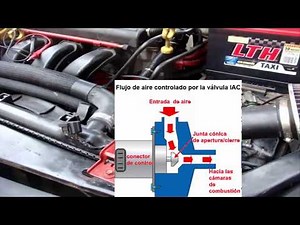 Neon IAC Valve Testing