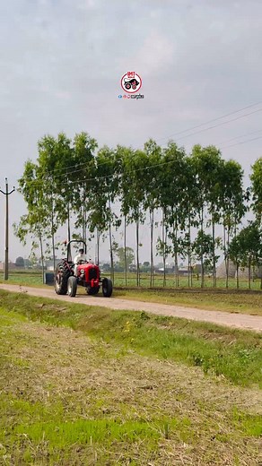 Imt 533 #imtwale #masseyferguson148 #imt533 #imt533deluxe #tractorreels #fblifestyle | IMT WALE
