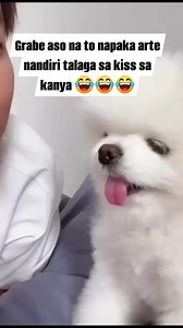 Omg sakit tiyan ko kakatawa 😂😂😂😂 #Cute #dogs #kisses #doglover #reels #reelsviralシ #reelsvideoシ #reelsfypシ #reelsfacebook #dog #love #fypppppppppppppppppppppppppppppppppppppppppppppppppppppppppppppppppppppp #everyonefollowers #foryouシ | Parauma Animal Lover