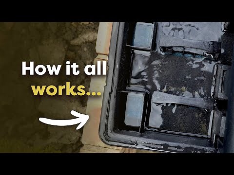 What is a Pond Filter and What Does it Do?