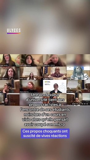 Propos racistes d'une professeure en visio