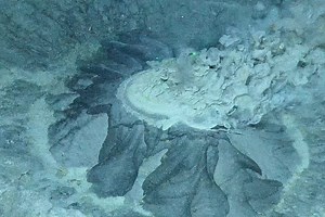 Deep-sea scientists just found an ancient and exceptional thing at the bottom of the Arctic Ocean | Discover Wildlife