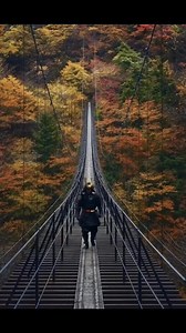 Samurai crossing the rope bridge in Japan 🇯🇵 | Japan Entertainment