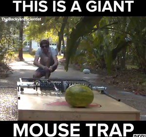 127K views · 816 reactions | Look At This Giant Mouse Trap  | BuzzFeed Sweaty | Facebook