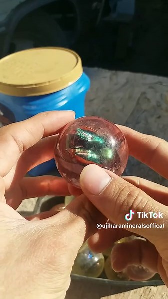 Preserving Insects in Epoxy Resin: A Family Legacy