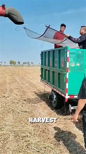 Harvest Sifting The On the Go Grain Sorting Method #HarvestTech #FarmingLife #GrainSorting | Huntsville Studio