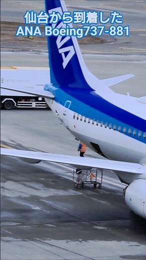 [Short Ground Handling Video]🥝 ANA Boeing 737-881 arriving from Sendai. Watching the external