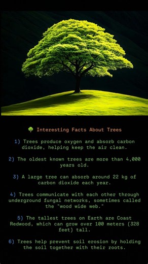 FACTS ABOUT TREES. #trees #treeshorts