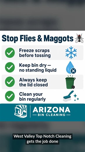 4 ways to keep your bins clean (and stop flies + maggots)