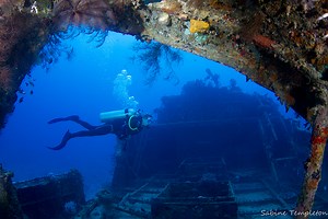 Pacific Harbour & Beqa Island