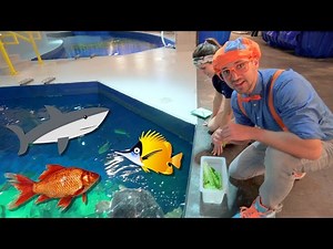 Blippi Visits The Aquarium | Educational Fish and Animals for Kids and Toddlers - Videos For Kids