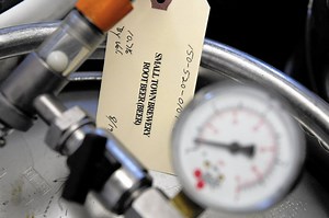 Not Your Father’s Root Beer and its curious rise to national sensation