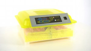 Watch 48 egg incubator on Amazon Live