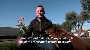 Bobi, a purebred Rafeiro do Alentejo born in Portugal, celebrated his 30th birthday last year, and has broken an almost century-old record of world's oldest dog, according to Guinness World Records https://trib.al/UpJjTah | Reuters