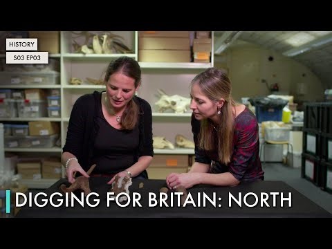 Digging for Britain: North