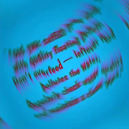 How to Start Catfish Farming in Nigeria (Beginner’s Step-by-Step Guide)