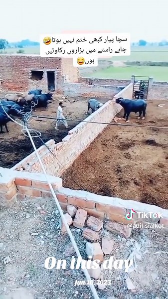 Significant Historical Events on June 10